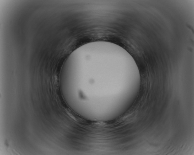X0000097750087200803070852