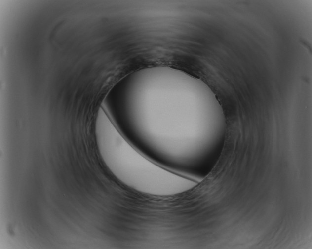 X0000097750088200803070852