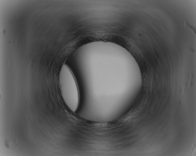 X0000097750089200803070852