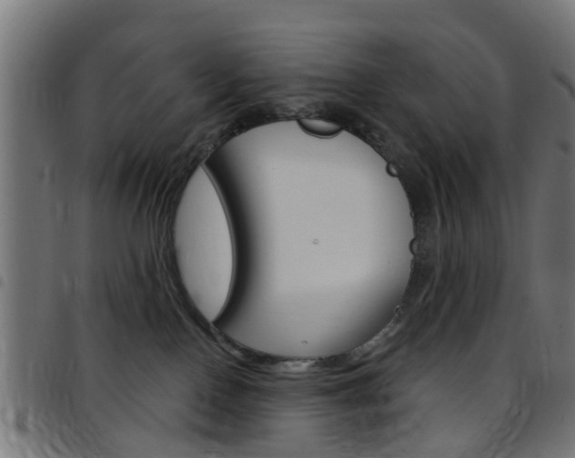 X0000097750090200803070853