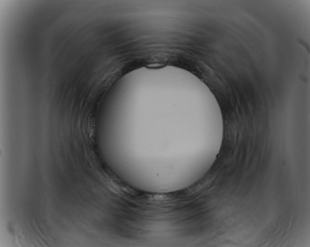 X0000097750091200803070853