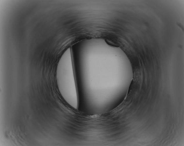 X0000097750092200803070853