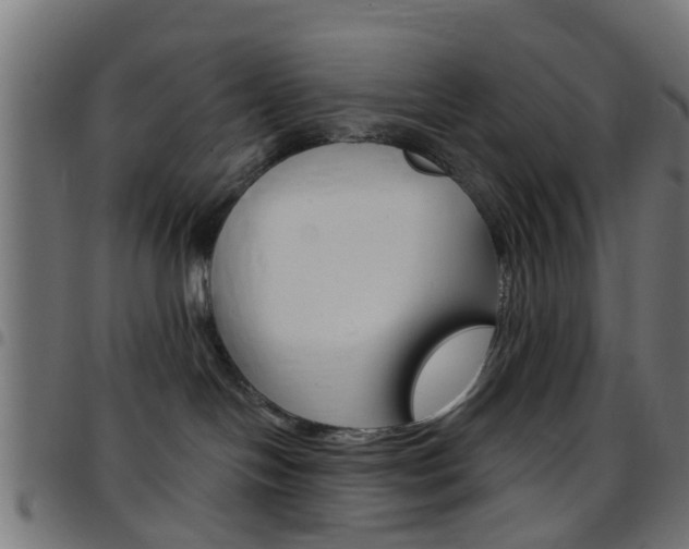X0000097750094200803070853