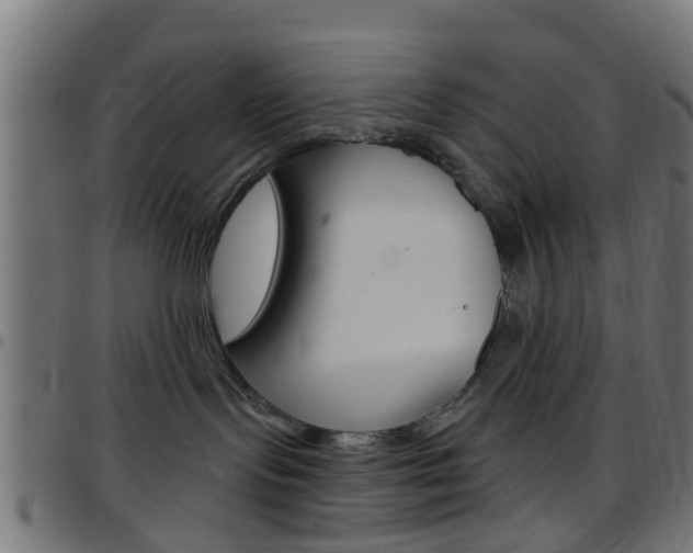 X0000097750095200803070853