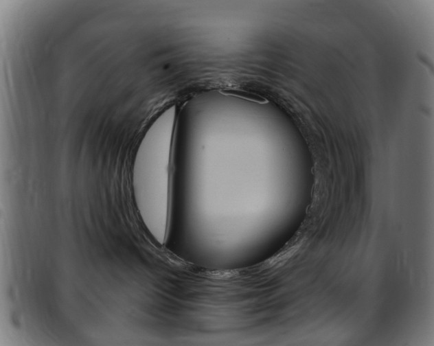X0000097750096200803070853