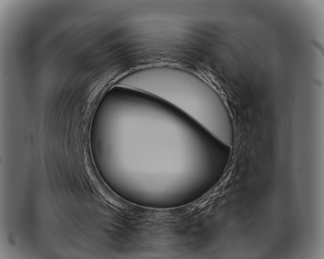 X0000097750097200803070852