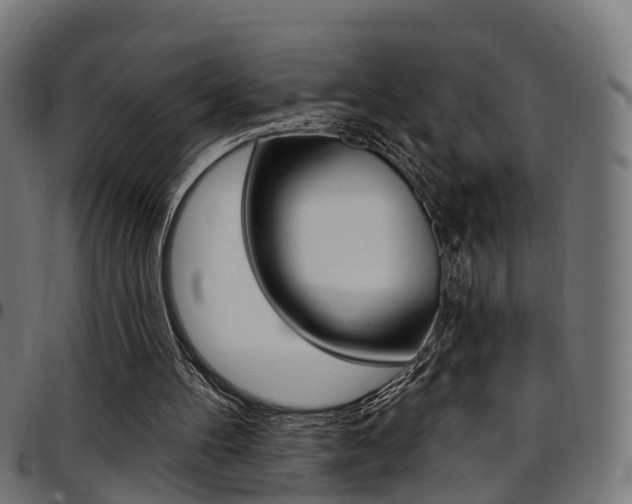 X0000097750100200803070852