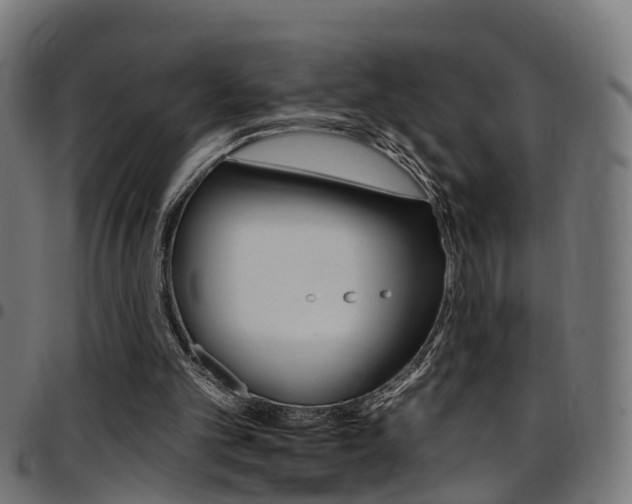 X0000097750101200803070852