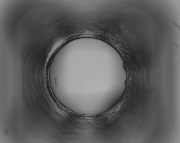 X0000097750102200803070852
