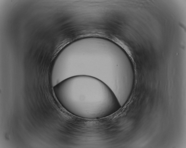 X0000097750105200803070852