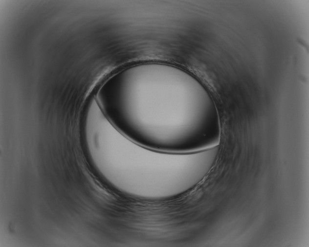 X0000097750108200803070852