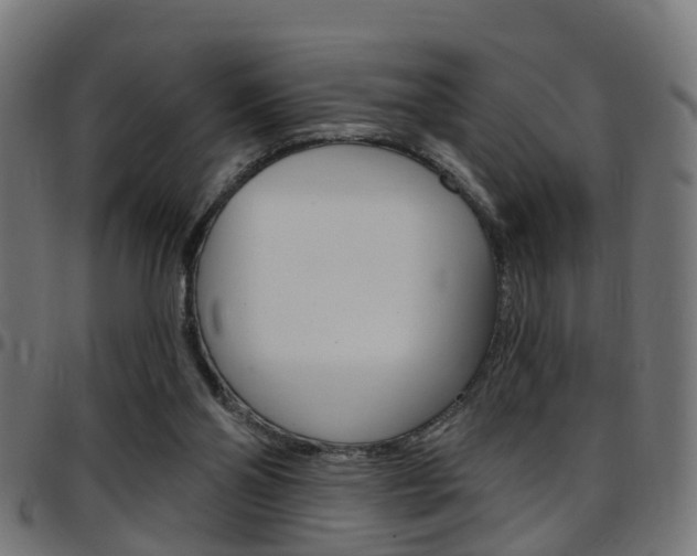 X0000097750110200803070852
