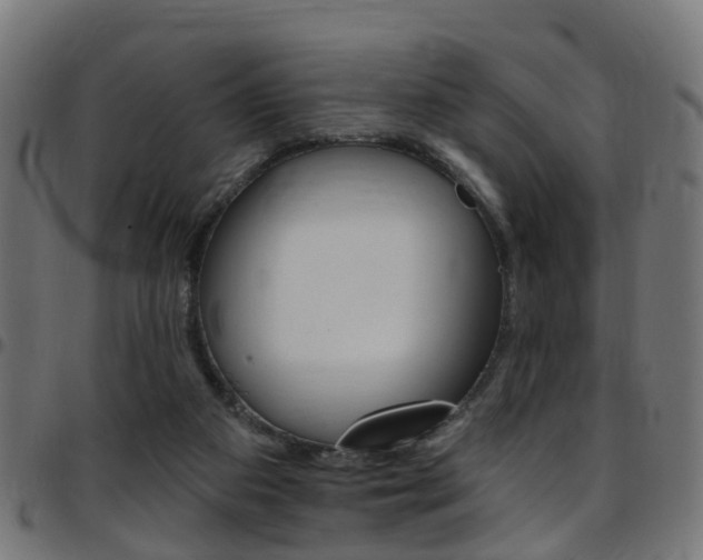 X0000097750113200803070852