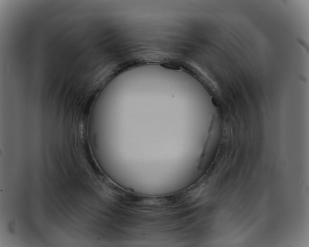 X0000097750117200803070852