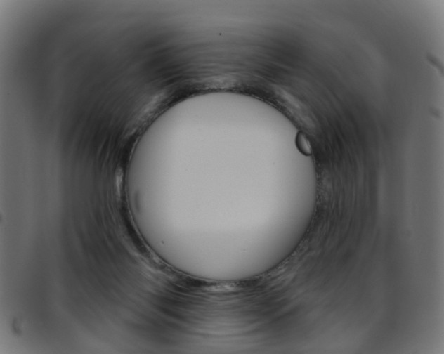 X0000097750118200803070852