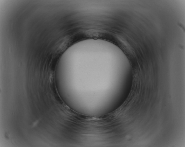 X0000097750125200803070852