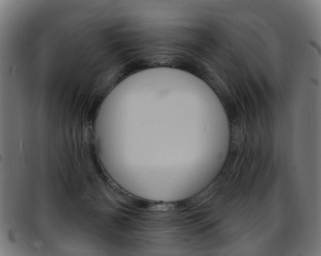 X0000097750126200803070851