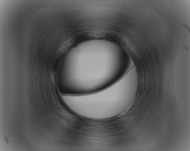X0000097750128200803070851