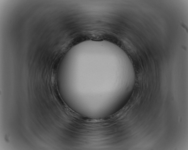 X0000097750129200803070851