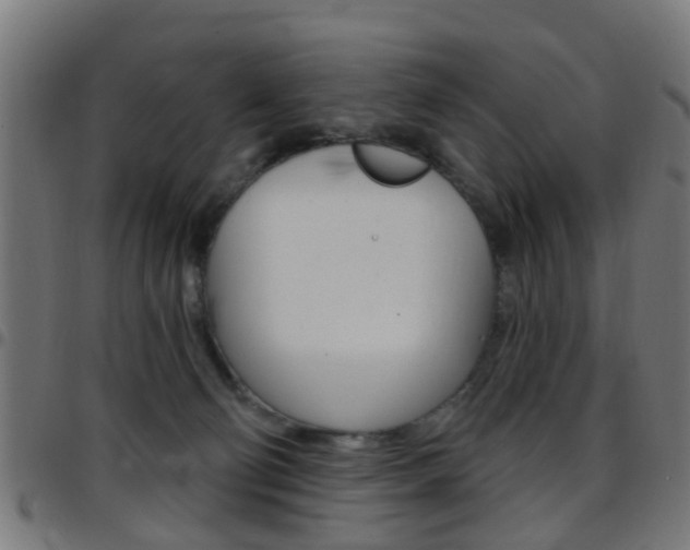 X0000097750130200803070851