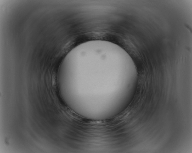 X0000097750131200803070851
