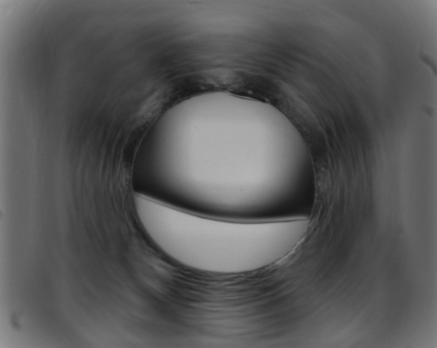 X0000097750132200803070851