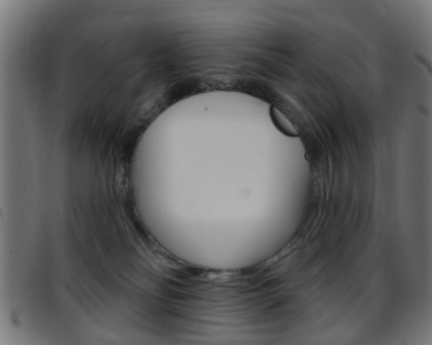 X0000097750134200803070851