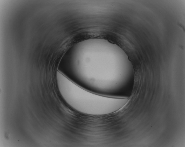 X0000097750136200803070851