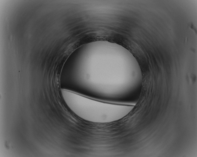 X0000097750137200803070851