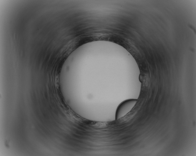 X0000097750138200803070851
