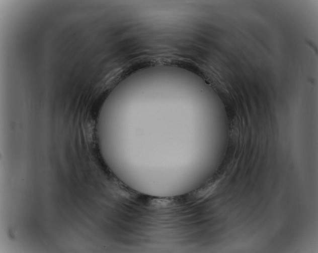 X0000097750139200803070851