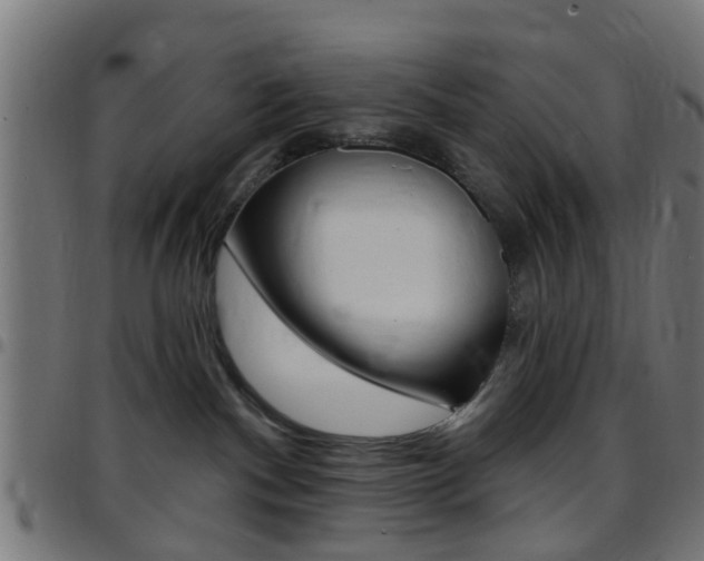 X0000097750140200803070851