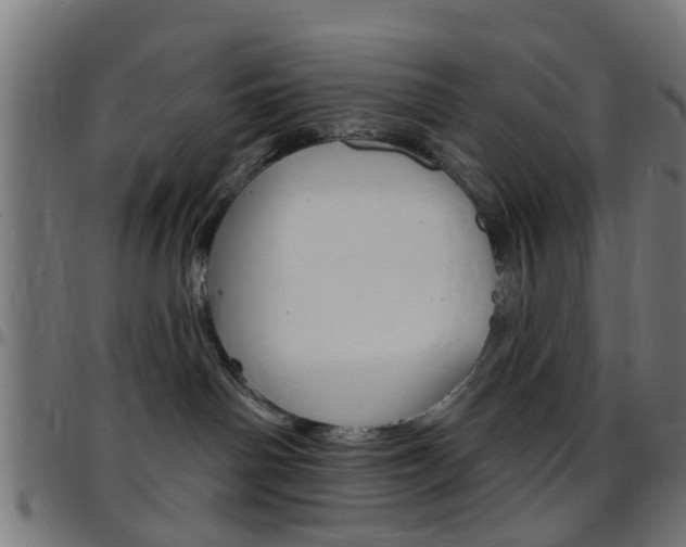 X0000097750142200803070851