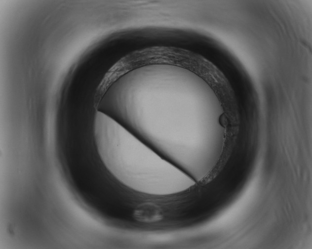 X0000097750143200803070851