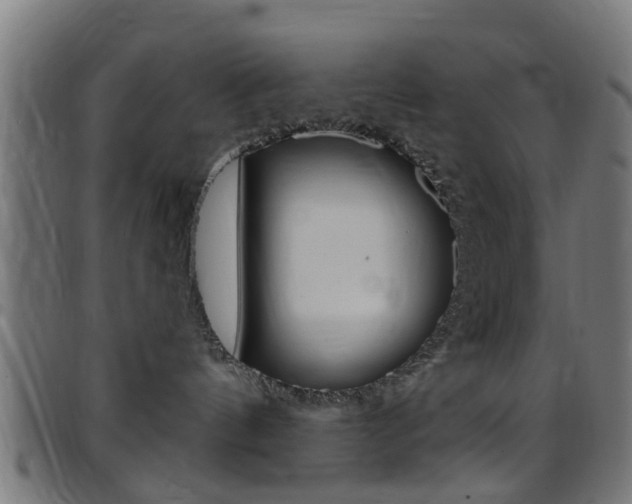 X0000097750144200803070851