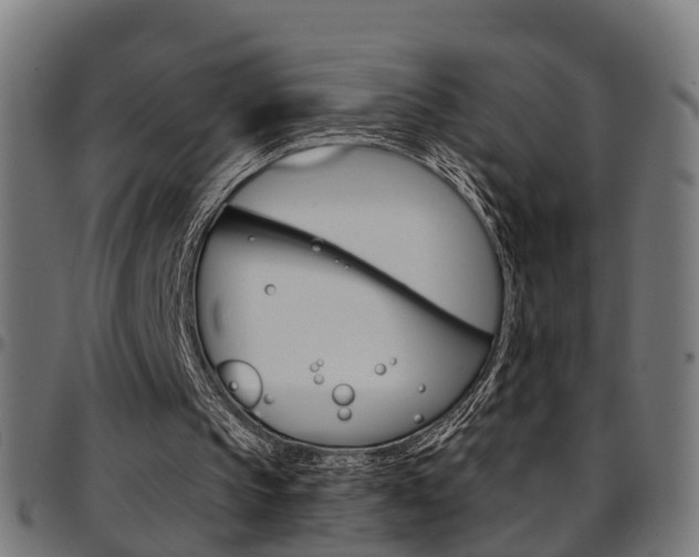 X0000097750145200803070851