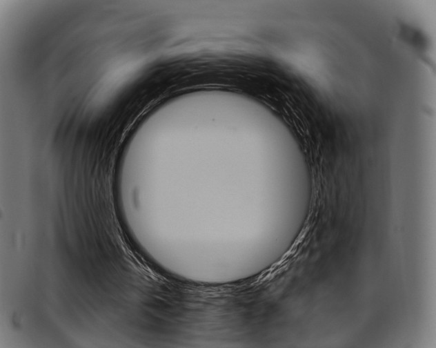 X0000097750146200803070851