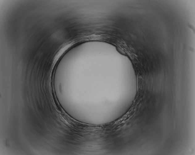 X0000097750147200803070851