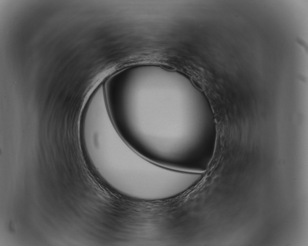 X0000097750148200803070851