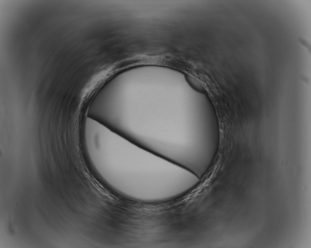 X0000097750149200803070851