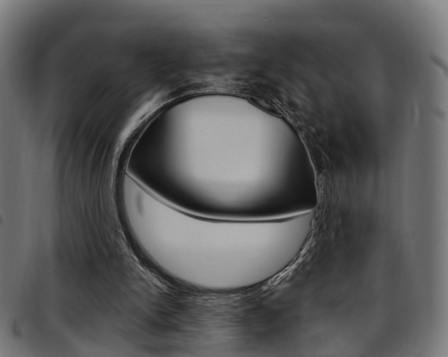 X0000097750150200803070851