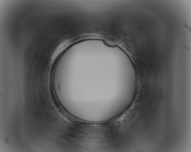 X0000097750151200803070851