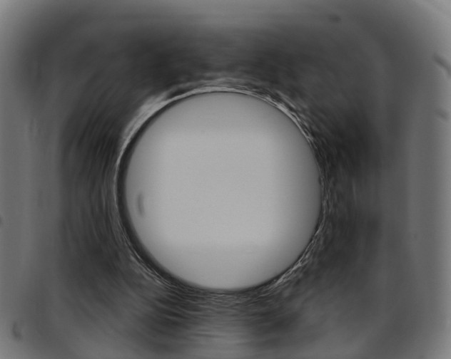 X0000097750152200803070851