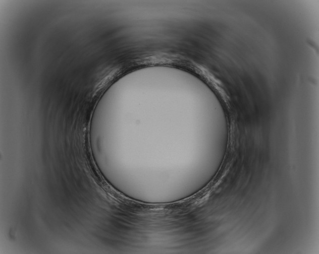 X0000097750153200803070851