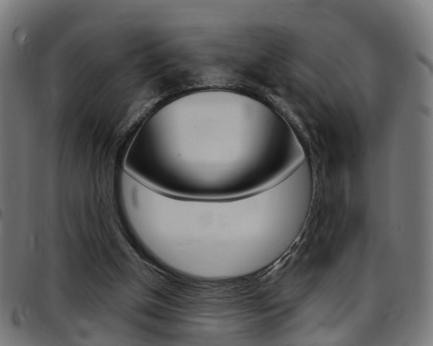 X0000097750154200803070851