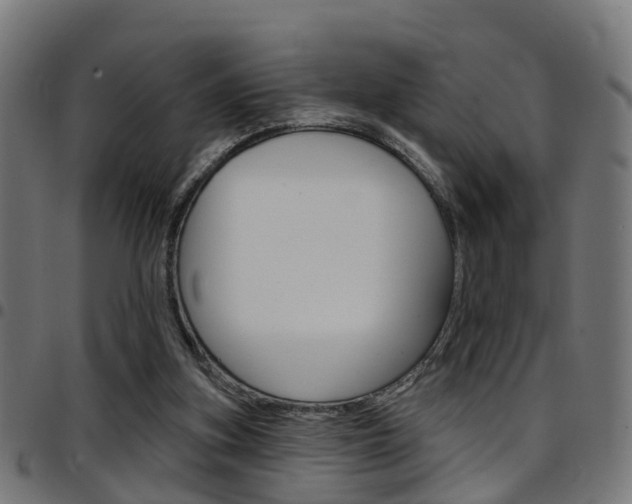 X0000097750155200803070851