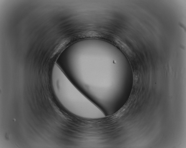 X0000097750158200803070851