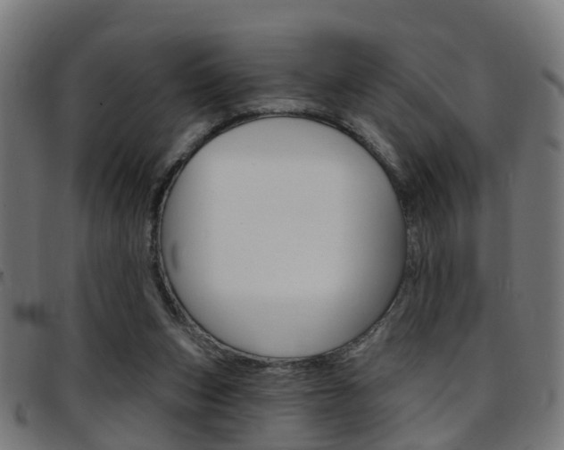 X0000097750159200803070851