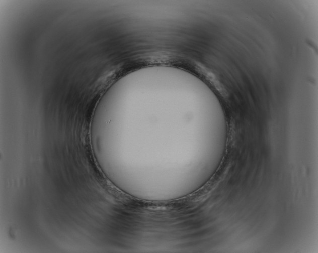 X0000097750161200803070851