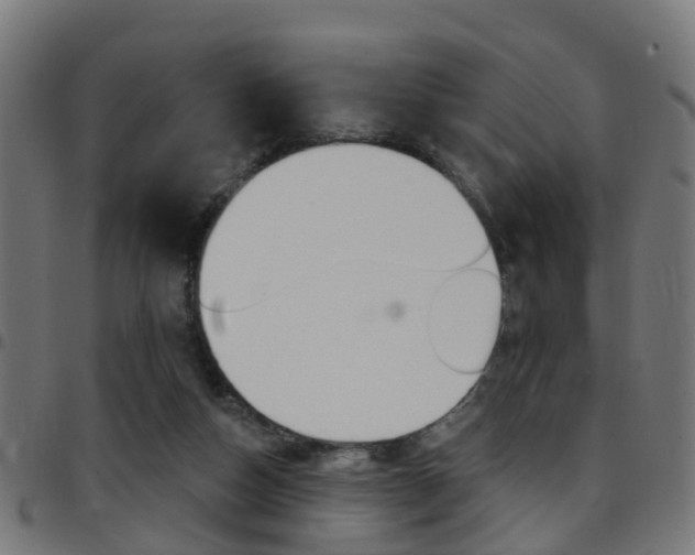 X0000097750162200803070851